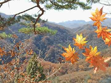 白小姐管家婆四肖八码,全面释义，拒绝虚假蛊惑陷阱，22-47-7-17-26-11特别号码：1